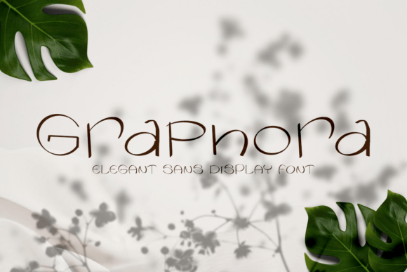 Graphora: A Designer’s Take on This Script Amp