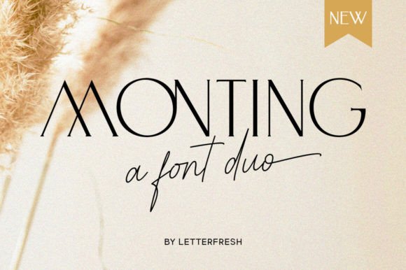 Monting Duo: Elevating Editorial Design with Modern Serif Typography
