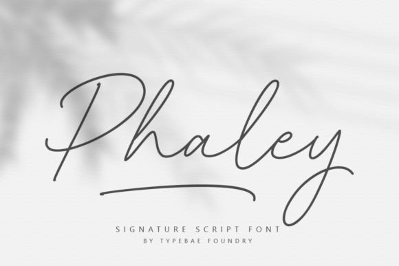 Phaley Font: Elevating Small Business Branding